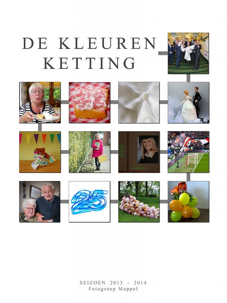 De Kleurenketting 2013 - 2014