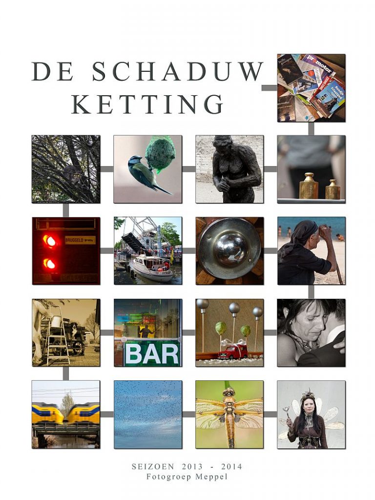 De SChaduwketting 2013 - 2014